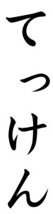 Japanese Word for Iron Fist