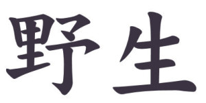 Japanese Word for Wild