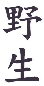 Japanese Word for Wild