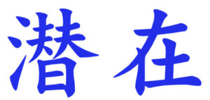 Japanese Word for Latency