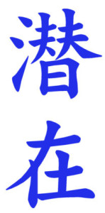 Japanese Word for Latency