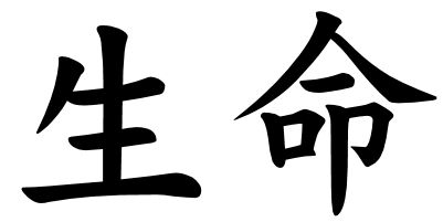 Kanji Japanese Symbol For Life  Garotin Haper