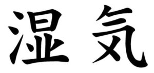 Japanese Word for Moisture