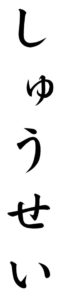 Japanese Word for Lifetime
