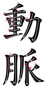 Japanese Word for Artery