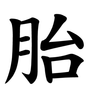 Jouyou Kanji "胎"