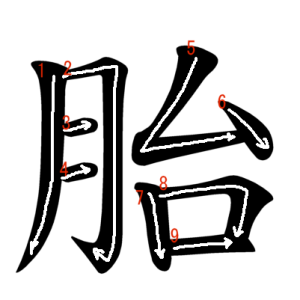 Jouyou Kanji "胎" Stroke Order